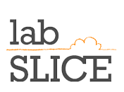 labslice_Logo_@1x labslice_Logo_@1x