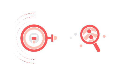 Migration Migration