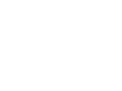 IBM IBM