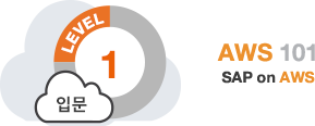 aws_korea_eventpage_levelicon01_sap aws_korea_eventpage_levelicon01_sap