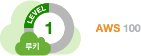 루키 AWS 100 루키 AWS 100