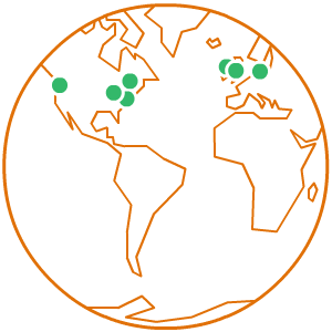regions_animated regions_animated