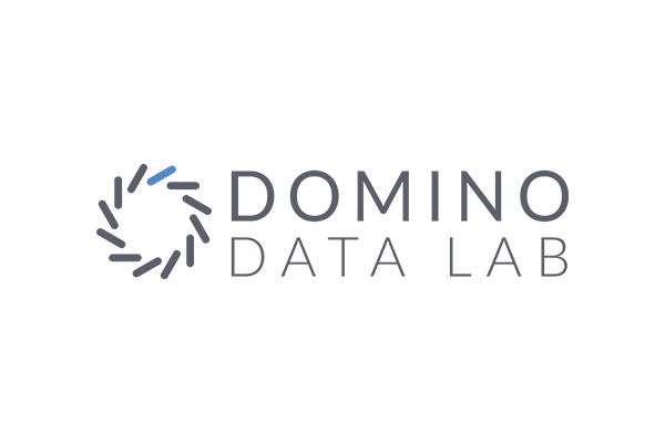 Domino Data Lab logo Domino Data Lab logo