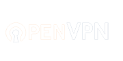 OpenVPN OpenVPN