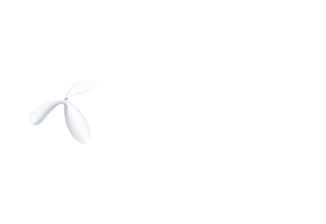 Telenor Connexion Telenor Connexion