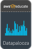65x100Datapalooza_BadgeIcon copy 65x100Datapalooza_BadgeIcon copy