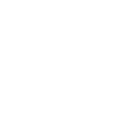 New Relic Relic