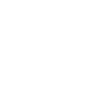 400x400 400x400