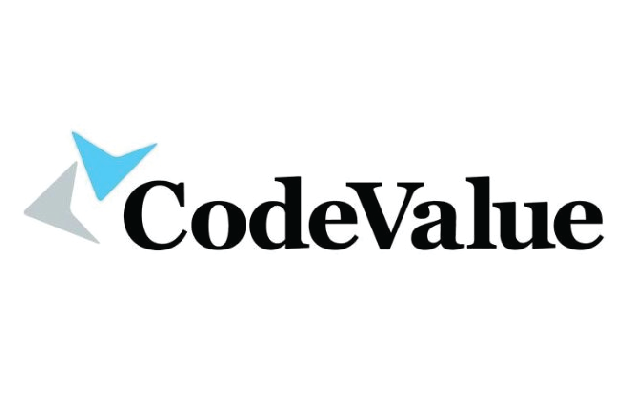codevalue logo-06 codevalue logo-06