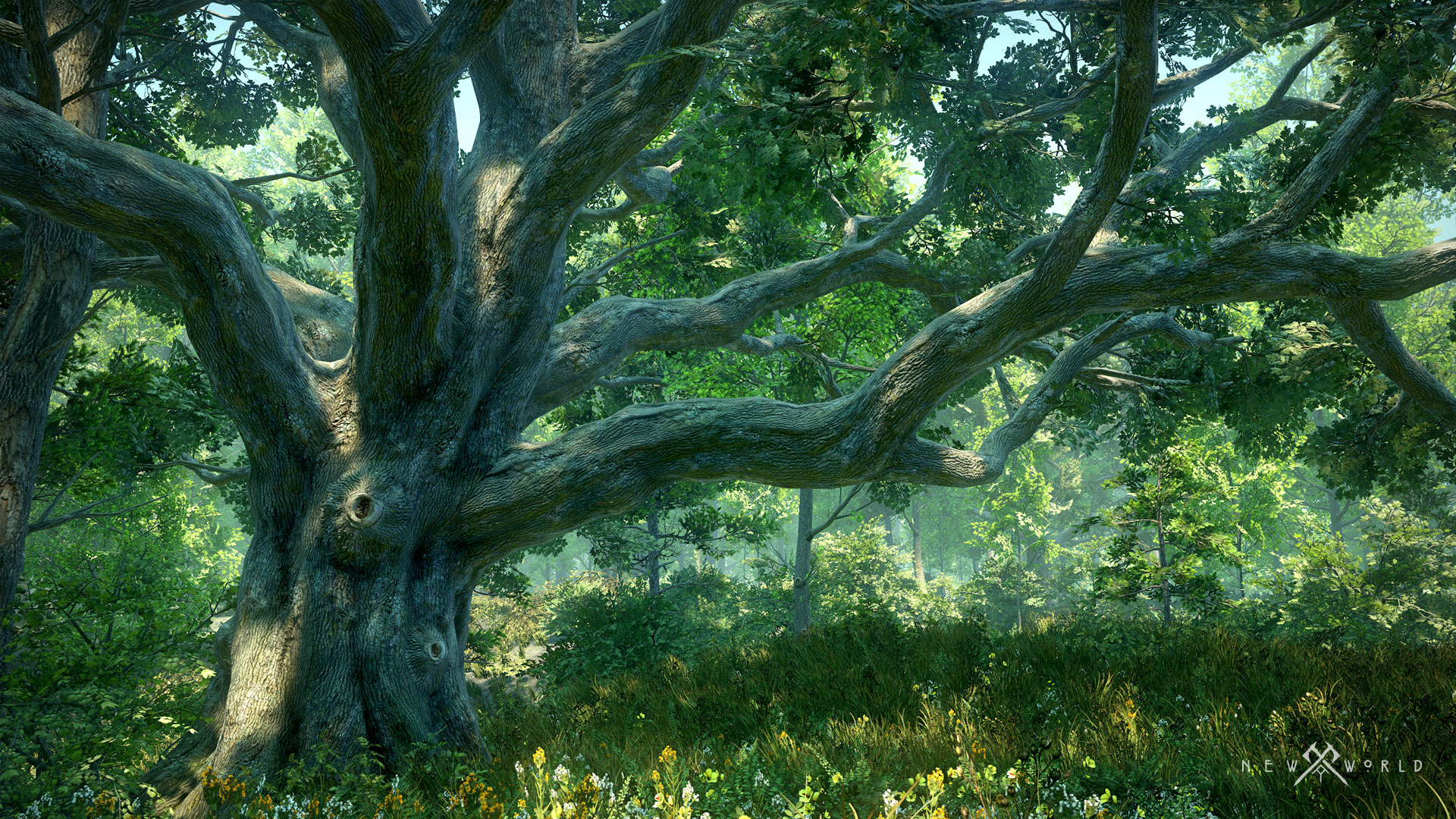 newworld_tree_1920 newworld_tree_1920