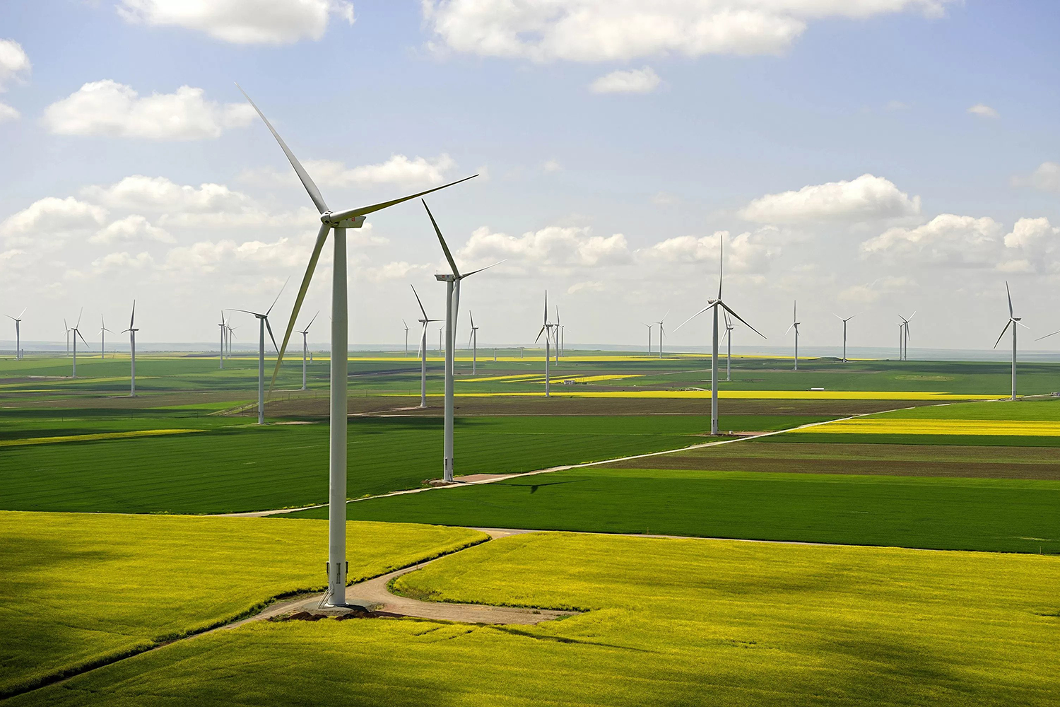Wind turbine farm above a forest Wind turbine farm above a forest