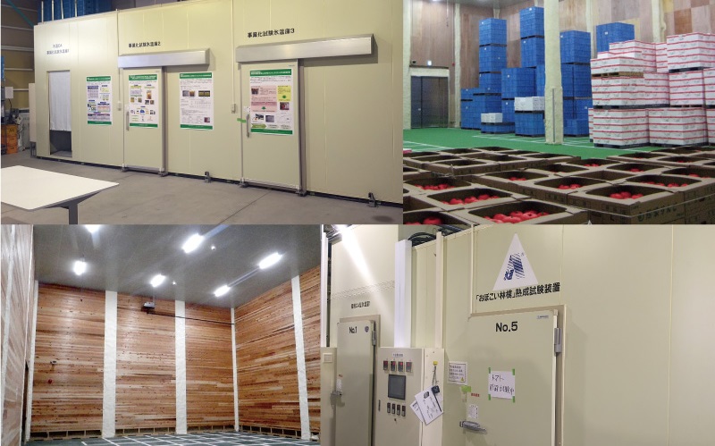 taisei_casestudy taisei_casestudy