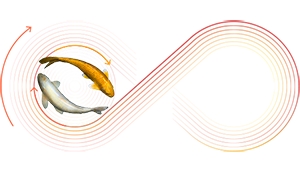 Infinity_Fish_300 Infinity_Fish_300