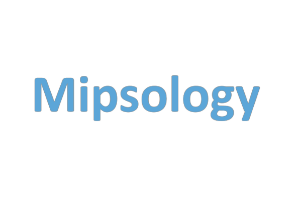 600x400_Mipsology 600x400_Mipsology
