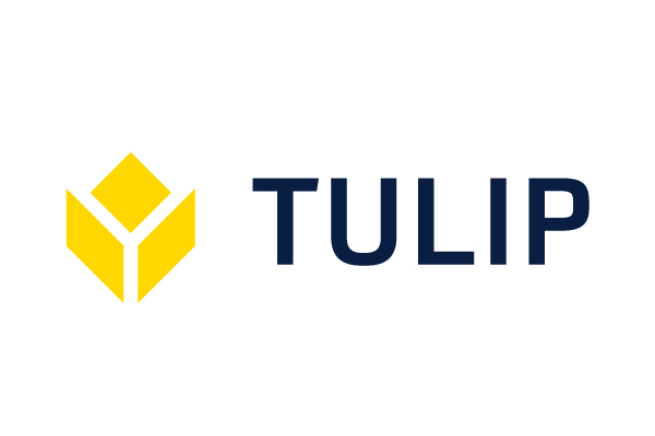 600x400_Tulip 600x400_Tulip