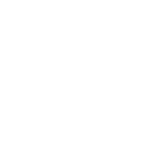 perspective-icon-governance-white perspective-icon-governance-white