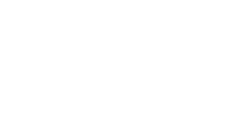 Decision Inc. Holdings