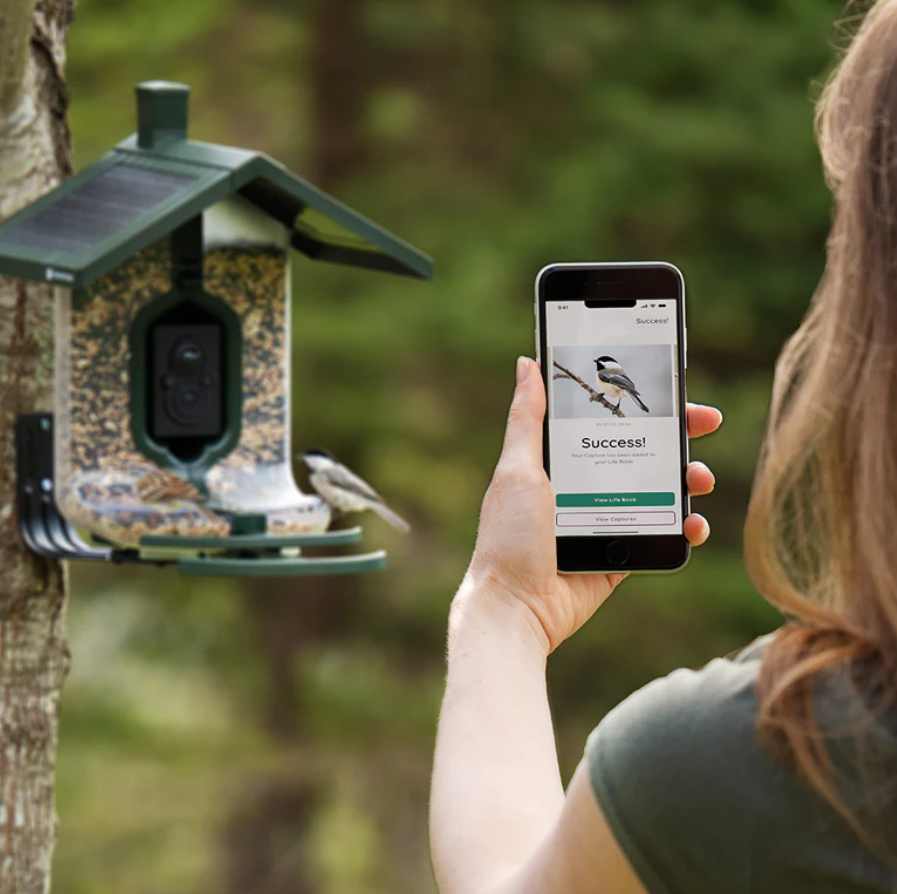 Woman on phone with bird on screen standing by birdfeeder with camera