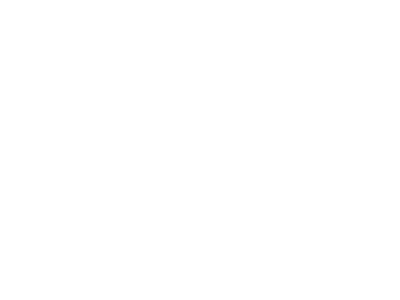 Advanced Micro Devices, Inc.