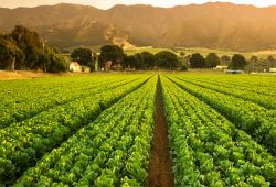 AWS Helps Farmers Leverage the Power of the Cloud to Improve Sustainability