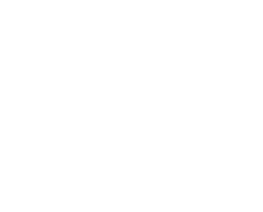 Booz Allen