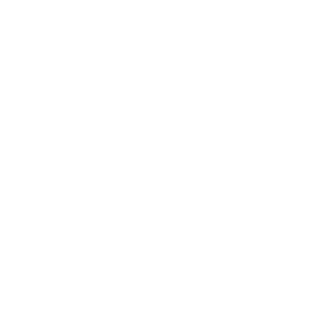 Capgemini Government Solutions