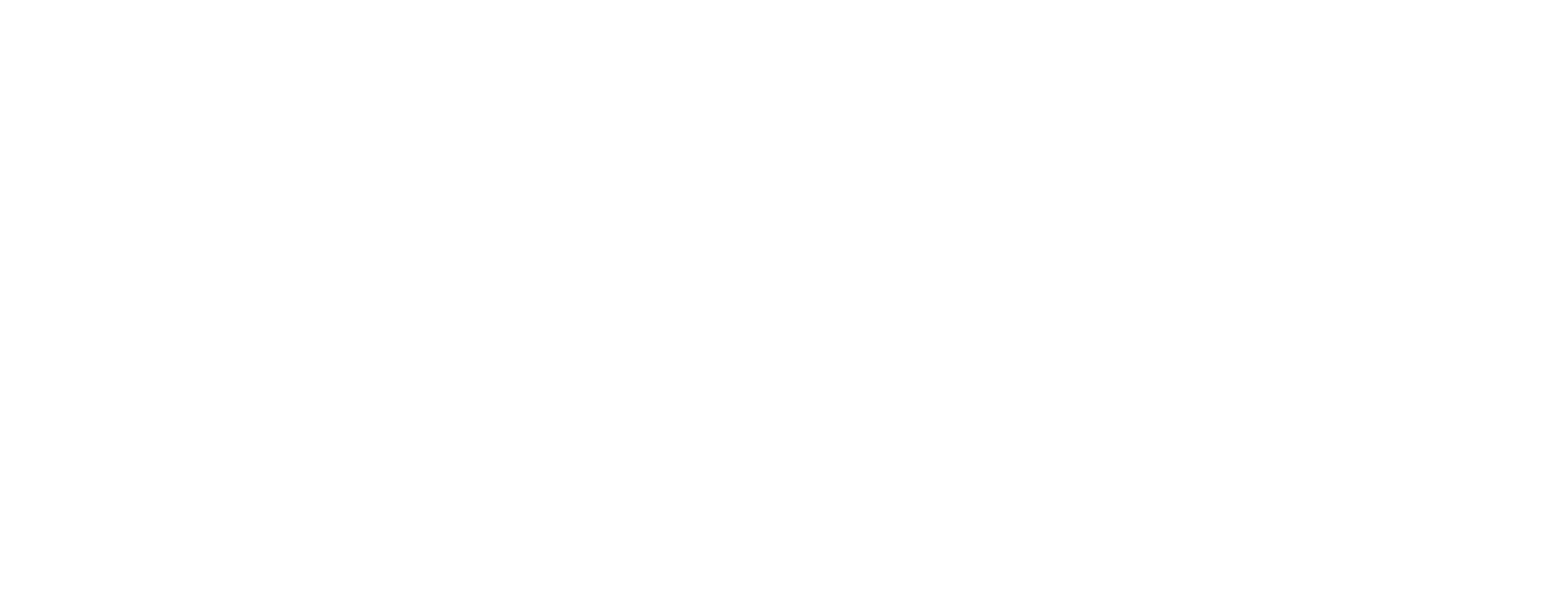 Check Point