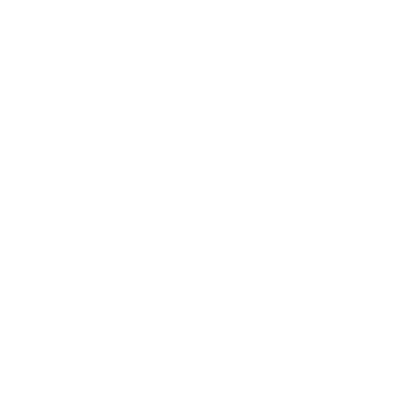 Deloitte Government &amp; Public Sector Services