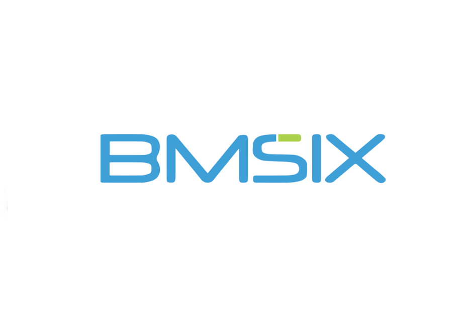 BMSIX