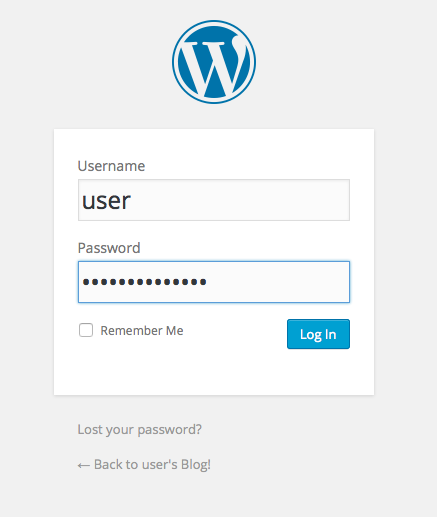 Launch a WordPress Website - Login