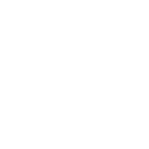 Everlaw