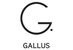 Gallus Insights: Solutions Built from an Entrepreneurial Spirit