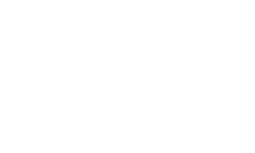 Vyin