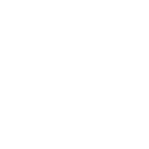 Genesys Cloud Services