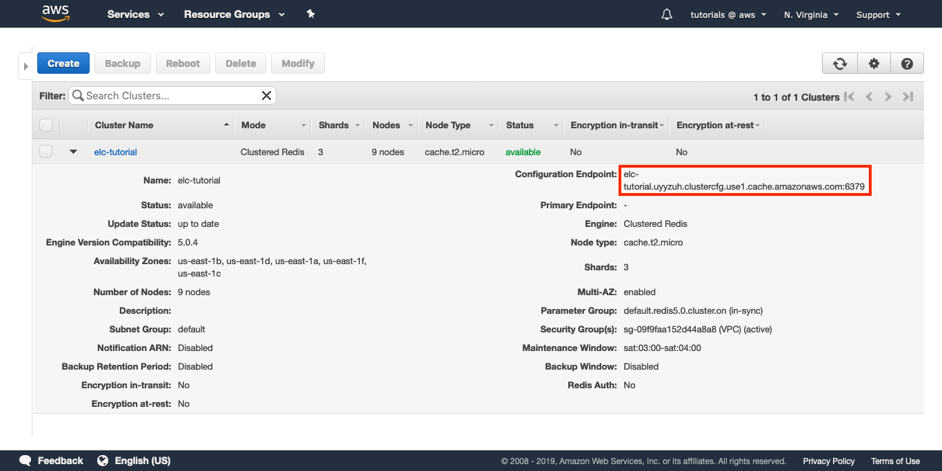 Copy the Configuration Endpoint