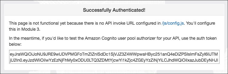 Successfully Authenticated!