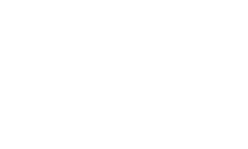 Ingram Micro (China) Limited