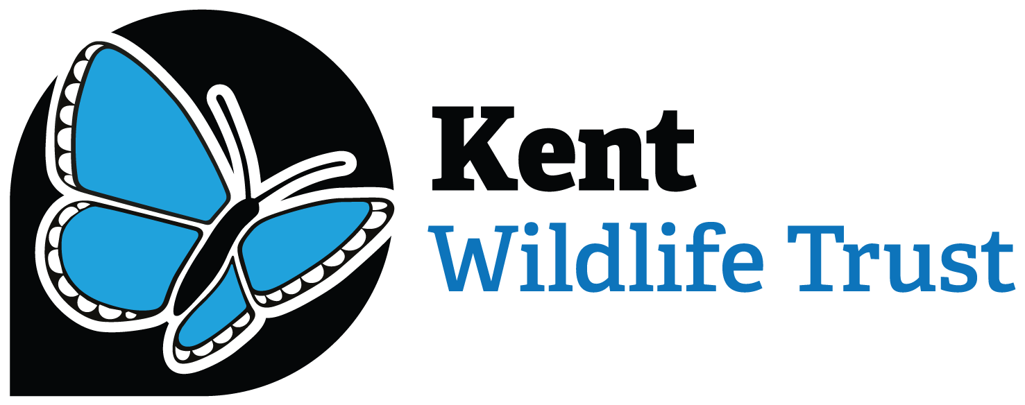 kent wildlife trust