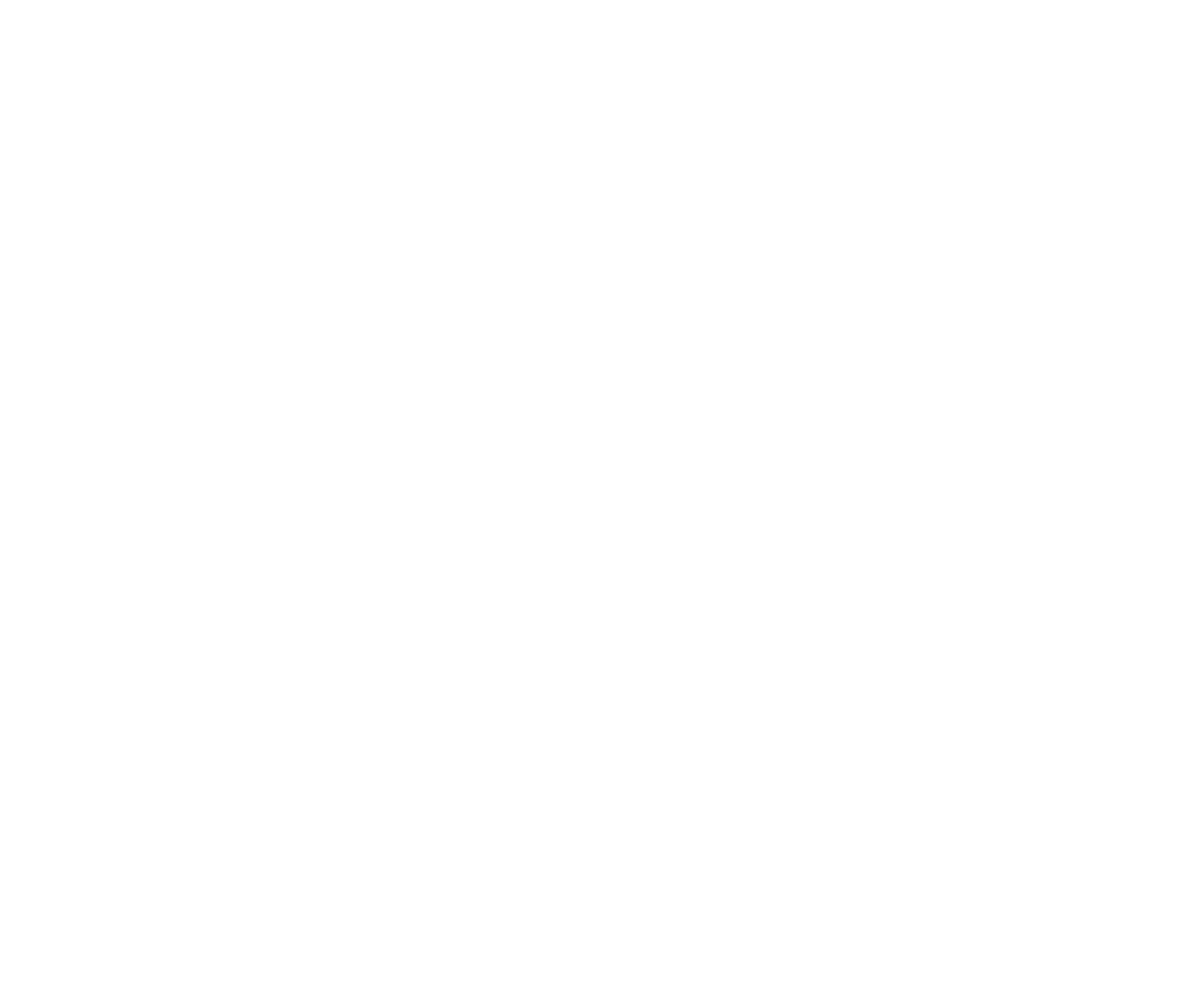 MLSE logo