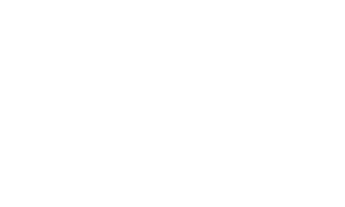 MetaAge Corporation