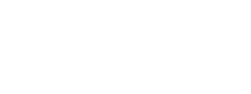 NTT Data