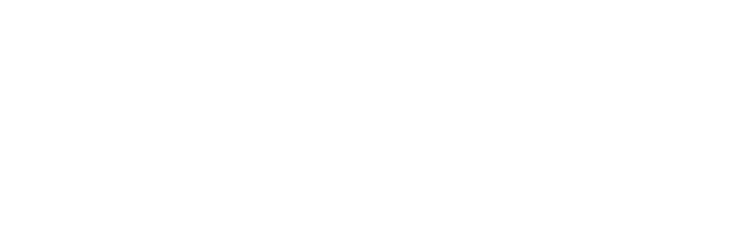 NTT Data