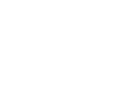 NVIDIA logo