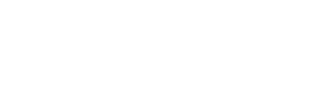 Qlik