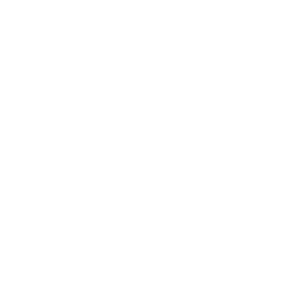 Qlik