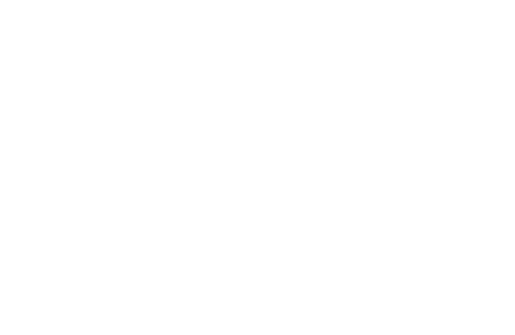 Slalom