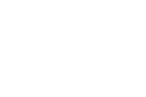 Tata Consulting Services