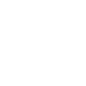 TD Synnex Public Sector