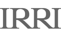 International Rice Research Institute Case Study