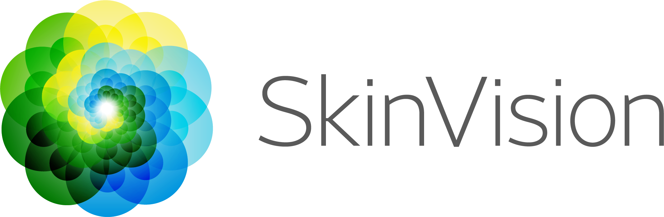 skinvisionLogo